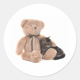 Adesivo Redondo kitten in the arms of a teddy bear