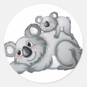 Adesivo Redondo Koala