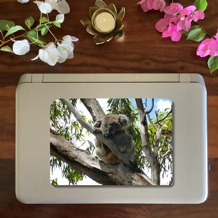 Adesivo Redondo Koala - Dormindo