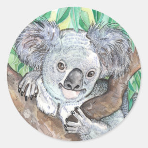 Adesivo Redondo Koala em pintura em árvore de Eucalyptus