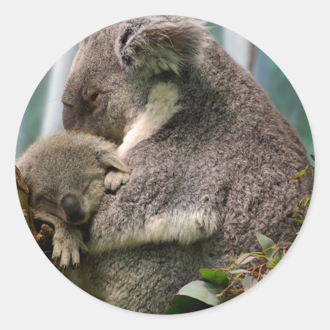 Adesivo Redondo Koala Mãe e Novo Bebê (Frente)