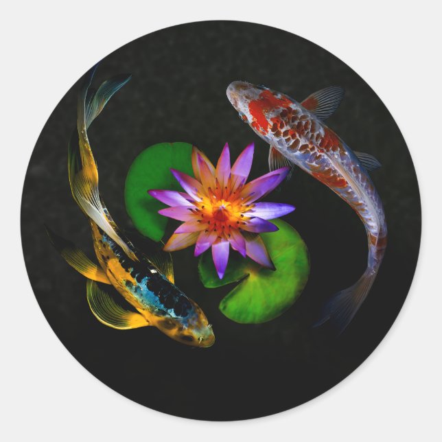 Adesivo Redondo Koi Fish around Lotus Flower in a Zen Pond (Frente)