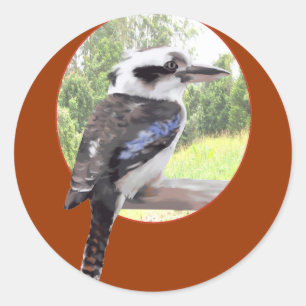 Adesivo Redondo Kookaburra no círculo
