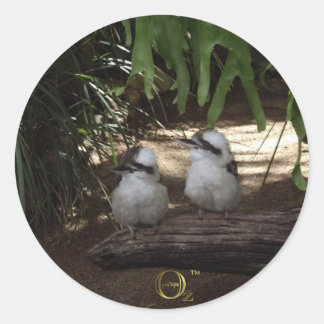 Adesivo Redondo Kookaburras Rindo