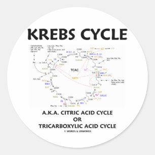 Adesivo Redondo Krebs Cycle A.K.A. Ciclo Ácido Cítrico Tricarboxíl