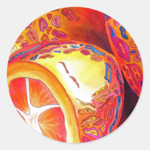 Adesivo Redondo Kumquats orange fruta