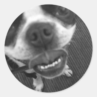 Adesivo Redondo Lábios de Boston Terrier