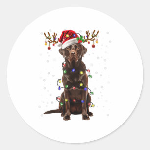 Adesivo Redondo Laboratório de Chocolate Labrador Árvore de Natal
