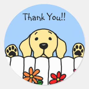 Adesivo Redondo Labrador Amarelo te observando
