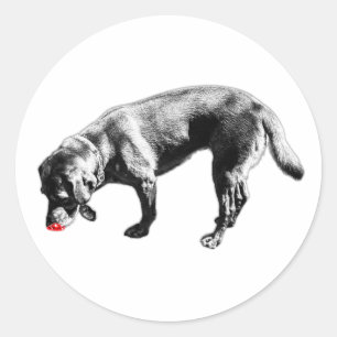 Adesivo Redondo Labrador Retriever Cheirando Tinta Vermelha