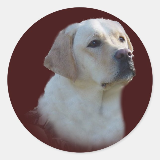 Adesivo Redondo Labrador Retriever Sticker (Frente)