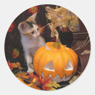 Adesivo Redondo Lacey - Gato Halloween / Gatinhos