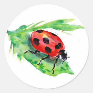 Adesivo Redondo Lady Bug em uma Aquarela Verde Folha