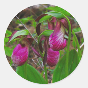 Adesivo Redondo Lady Slipper