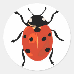 Adesivo Redondo Ladybird Small Sticker