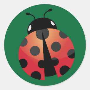 Adesivo Redondo Ladybug