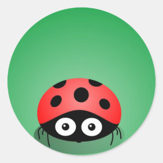 Adesivo Redondo Ladybug