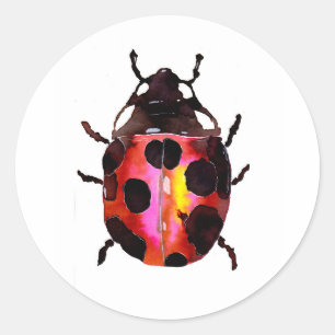 Adesivo Redondo Ladybug