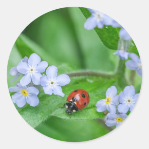 Adesivo Redondo Ladybug no Forget-me-not Stickers
