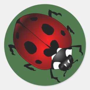 Adesivo Redondo Ladybug Stickers Red Ladybugs Art Stickers