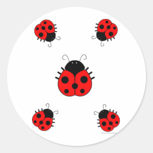 Adesivo Redondo Ladybugs Sticker