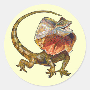 Adesivo Redondo lagarto necked do folho