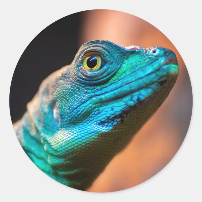 Adesivo Redondo Lagarto verde (Frente)