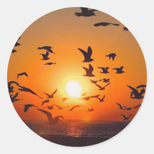 Adesivo Redondo Lago Erie Sunset