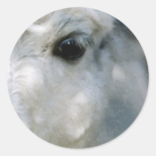 Adesivo Redondo Lama