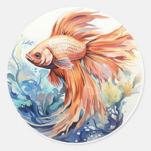 Adesivo Redondo Laranja Beta Peixe Submarino