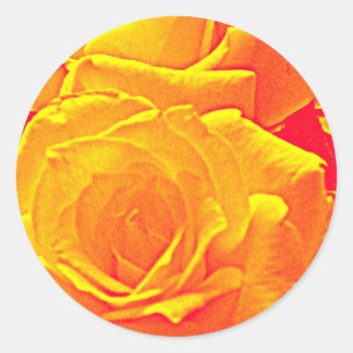Adesivo Redondo laranja rosa fluorescente