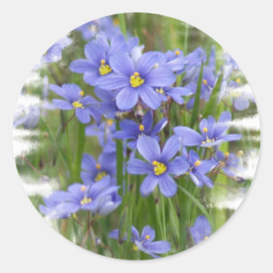Adesivo Redondo Larkspurs