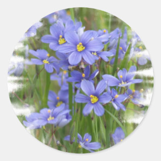 Adesivo Redondo Larkspurs