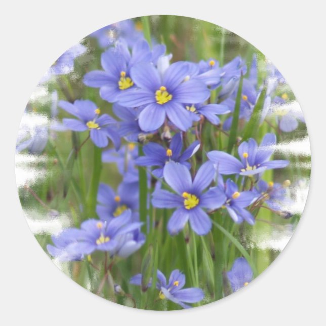 Adesivo Redondo Larkspurs (Frente)
