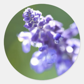 Adesivo Redondo Lavanda