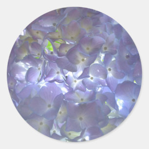 Adesivo Redondo Lavanda