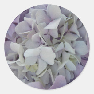 Adesivo Redondo Lavanda/etiqueta branca do Hydrangea