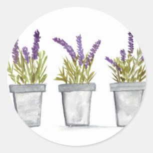 Adesivo Redondo Lavanda herbácea potes aquarela flores púrpuras