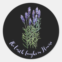 Lavanda, jardinagem