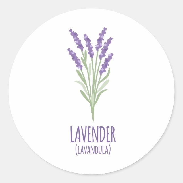 Adesivo Redondo Lavanda Lavandula (Frente)
