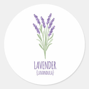 Adesivo Redondo Lavandula da lavanda