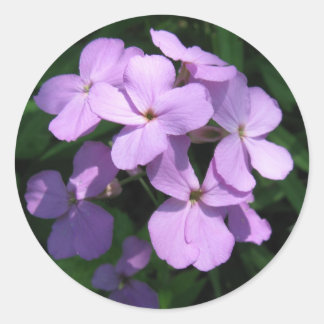 Adesivo Redondo Lavendar Wildflower Sticker