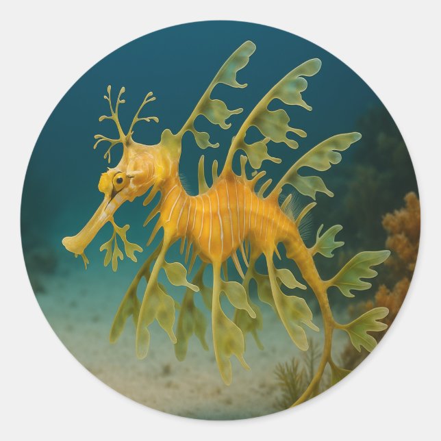 Adesivo Redondo Leafy Sea Dragon (Frente)