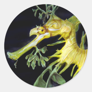 Adesivo Redondo Leafy Sea Dragon