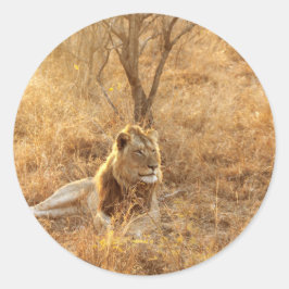 Adesivo Redondo Leão