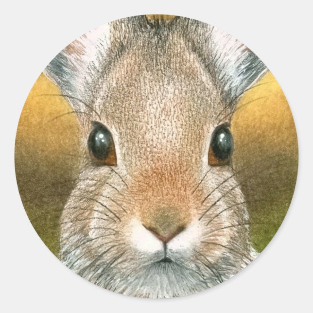 Adesivo Redondo lebre 18 Sticker (Frente)