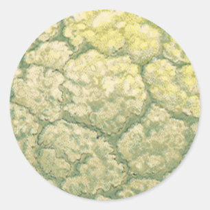 Adesivo Redondo Legumes Vegetais Couve-Flor Comida Antiga