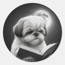 Leitura de Livro Shih Tzu