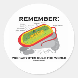 Adesivo Redondo Lembrem-se: Prokaryotes Governam O Mundo