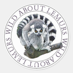 Adesivo Redondo Lemur